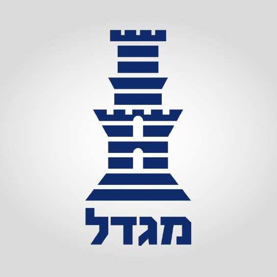 מגדל avatar